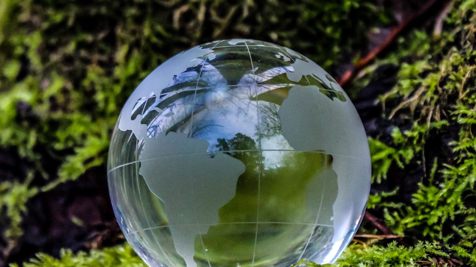 Glass globe showing continents resting on a mossy forest floor