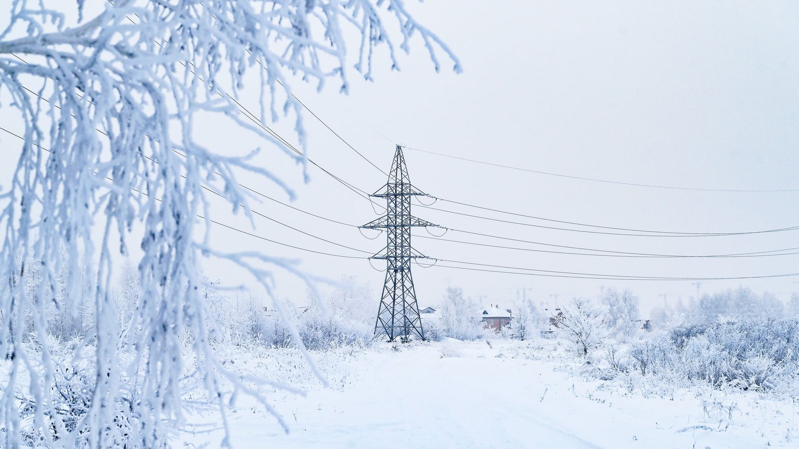 Pylon and power lines among frost-covered trees in a snowy landscape